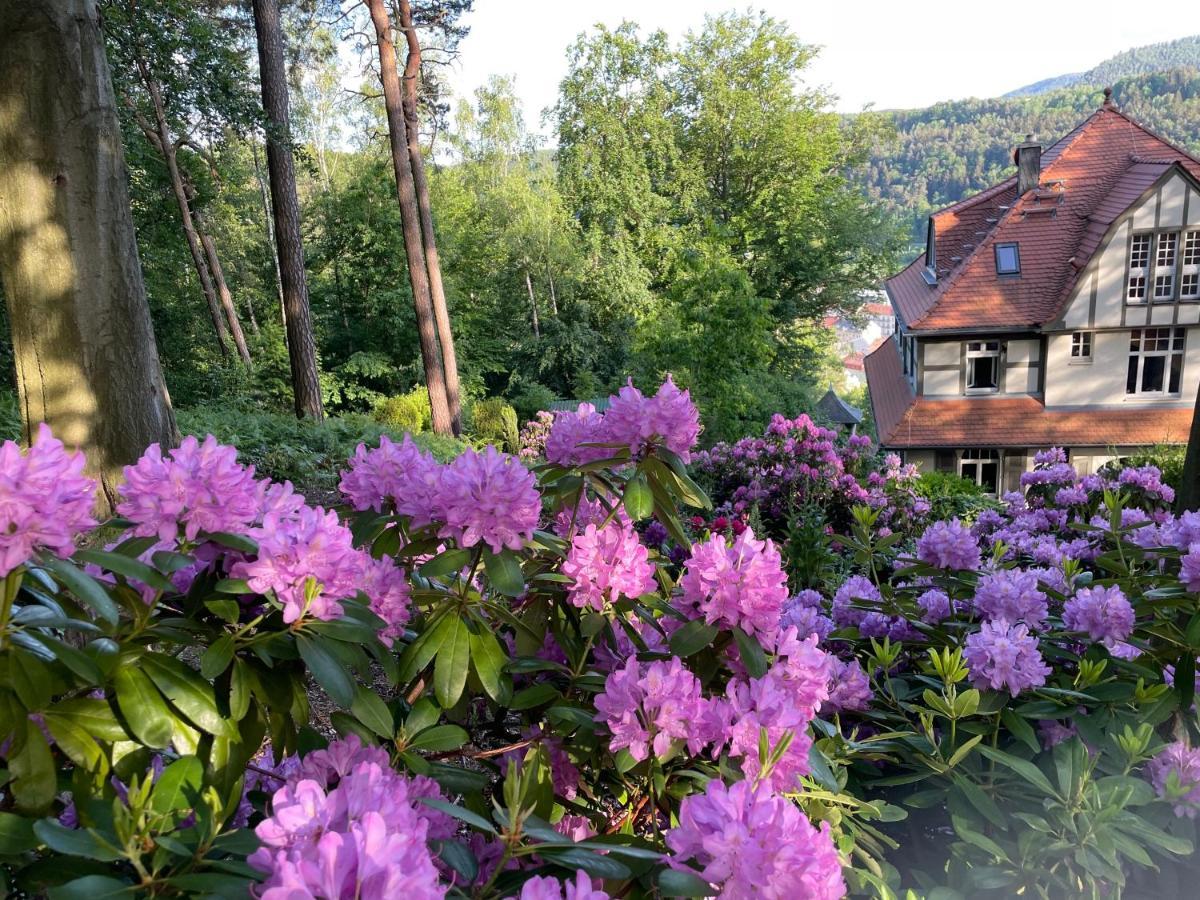 Villa Sonnenburg Bad Schandau Kültér fotó
